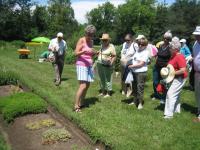 Herb_Garden.JPG