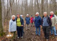woods_walk_4.JPG